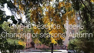 Simple living in Russia. Autumn in Siberia / Простая жизнь в России. Смена сезонов. Сибирь