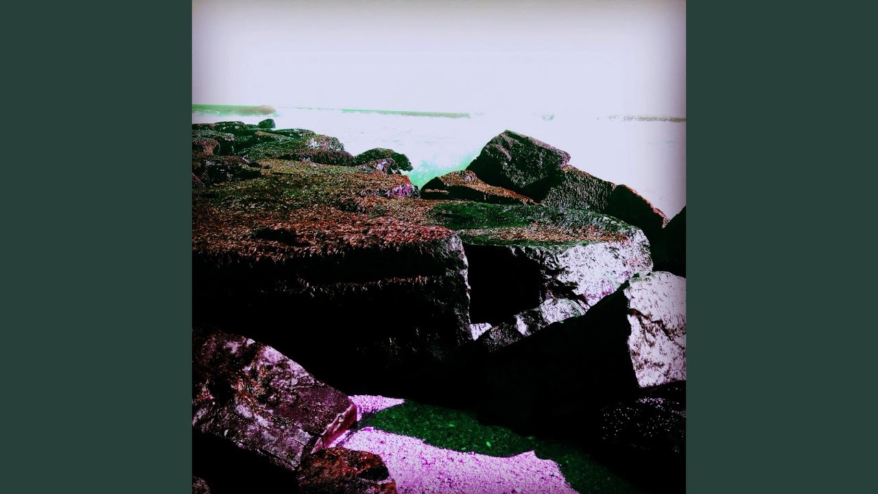 Watch Bioluminescence on YouTube Watch Bioluminescence on YouTube