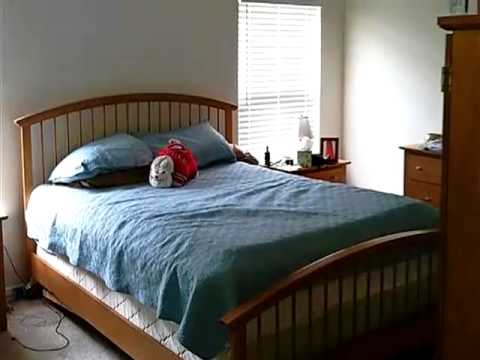 3017 Hollybrooke Dr, Myrtle Beach, SC home video tour