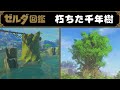 【ゼルダ図鑑】朽ちた千年樹とカラモ、騎士ゴーレム。封印戦記で明かされた謎と世界線の話