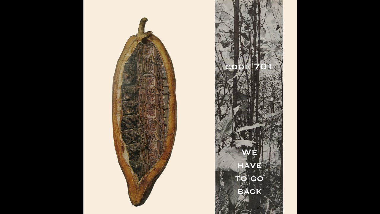 Code 701 - Bushmaster ACR