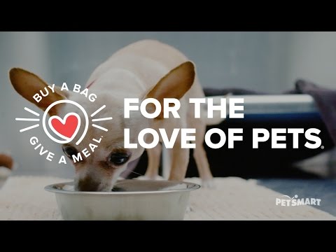 PetSmart CA Introduces Buy A Bag, Give A Meal - Teaser - PetSmart CA Introduces Buy A Bag, Give A Meal - Teaser