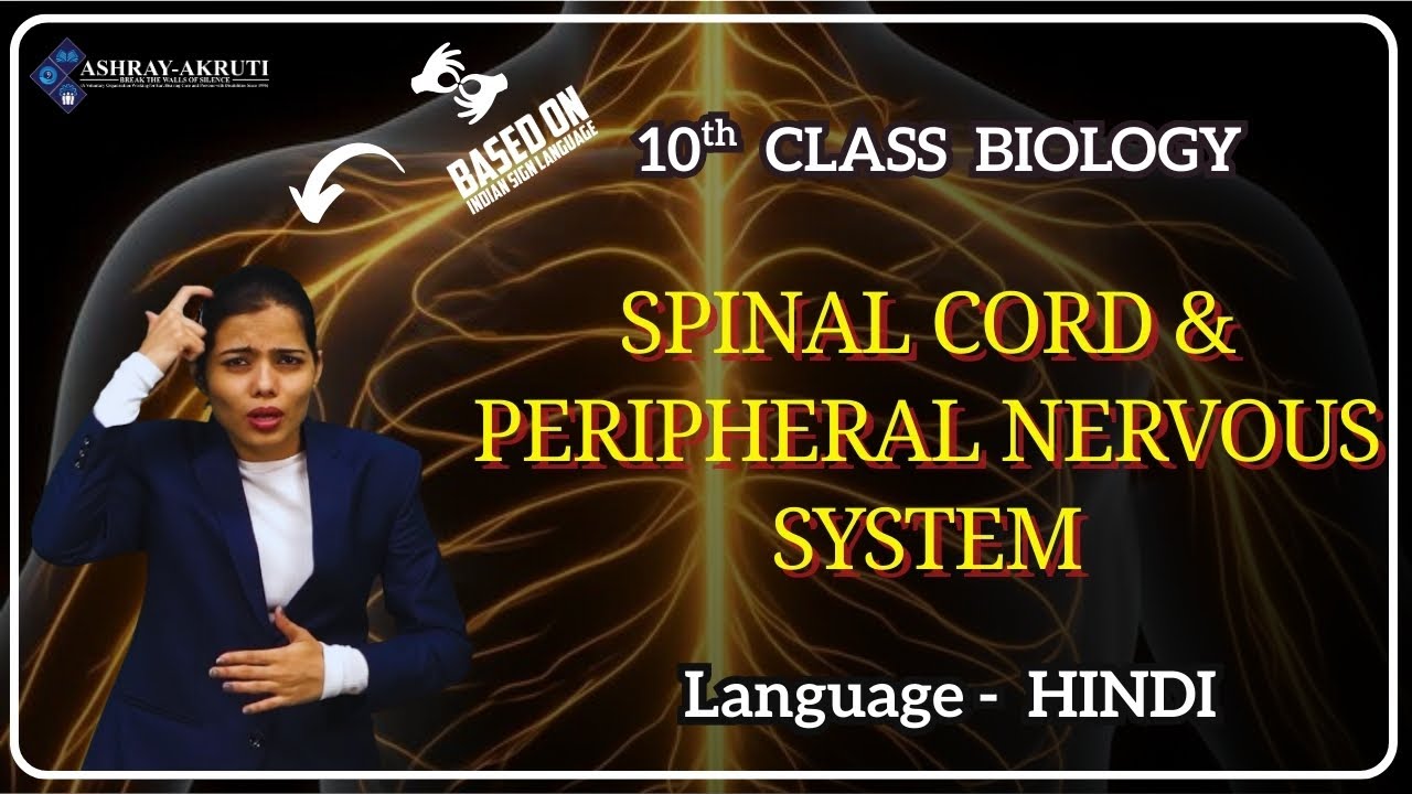 Nervous System Sign Language 10th Biology |Hindi| | Spinal cord and Peripheral Nervous System I ...
