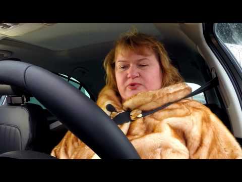 Коллективное управление. Вып. 025