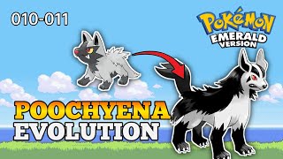 How To Evolve Poochyena Into Mightyena | Hoenn Pokedex