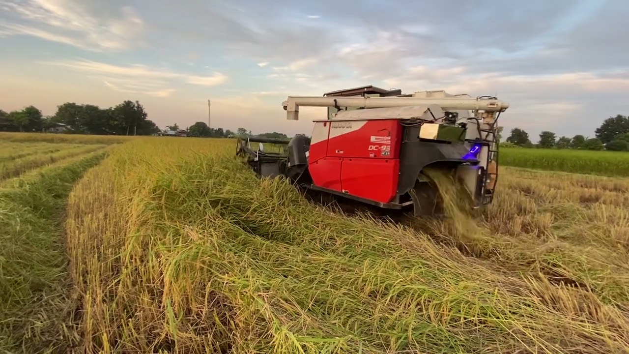 Dc93 บ้าพลังตัวตึงของอู่ Kkmชายสาม