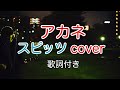 アカネ スピッツ(spitz) 【歌詞付き】弾き語りカバー