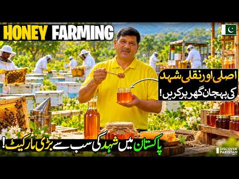 This is Pakistan’s Biggest Honey Market 🍯 | Pure vs Fake Honey Difference | Million Dollar Business