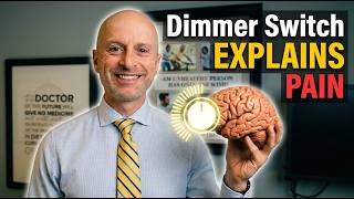 Spinal Alignment Brain Body Communication Explained | Chiropractor in Centennial, CO