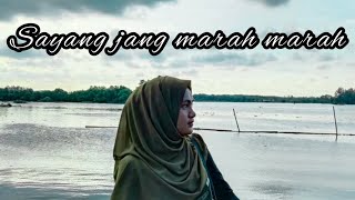 Download Lagu Sayang Jang Marah Marah Lirik Video ✨ Story WA