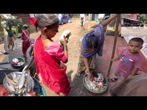 आई सोबत मच्छी विकाय फिरलो कोकणतील काही सुंदर गाव । मुंबई वरून आल्यावर लय भारी वाटतय फिराय 😌✌️