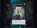 The Potion Magician #yugioh #yugiohtcg #yugiohcards