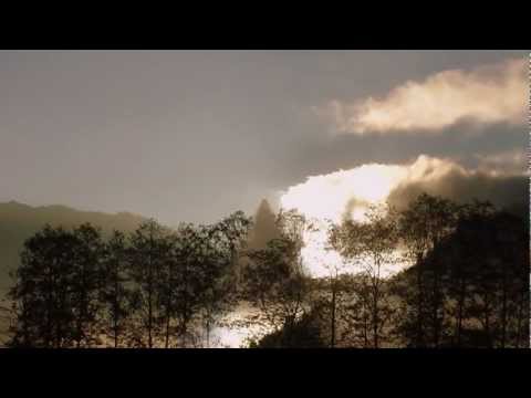 Raven - Wind in den Bäumen