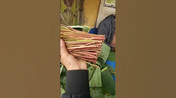 القات المتتشو اديس ابابا سياحة اثيوبيا 