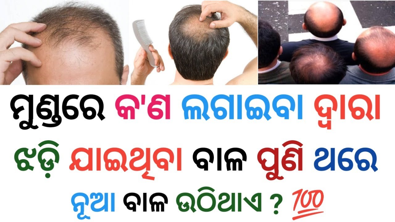 Odia Gk | Odia Quiz | General Knowledge Quiz | Odisha Gk In Odia | Gk Quiz | Gk Question And Answers