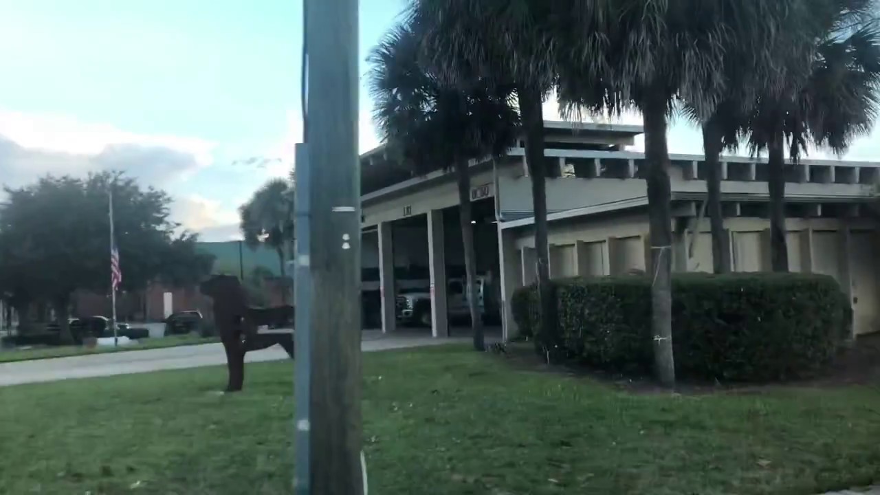 firefox Engine 81 - Deland Fire Department