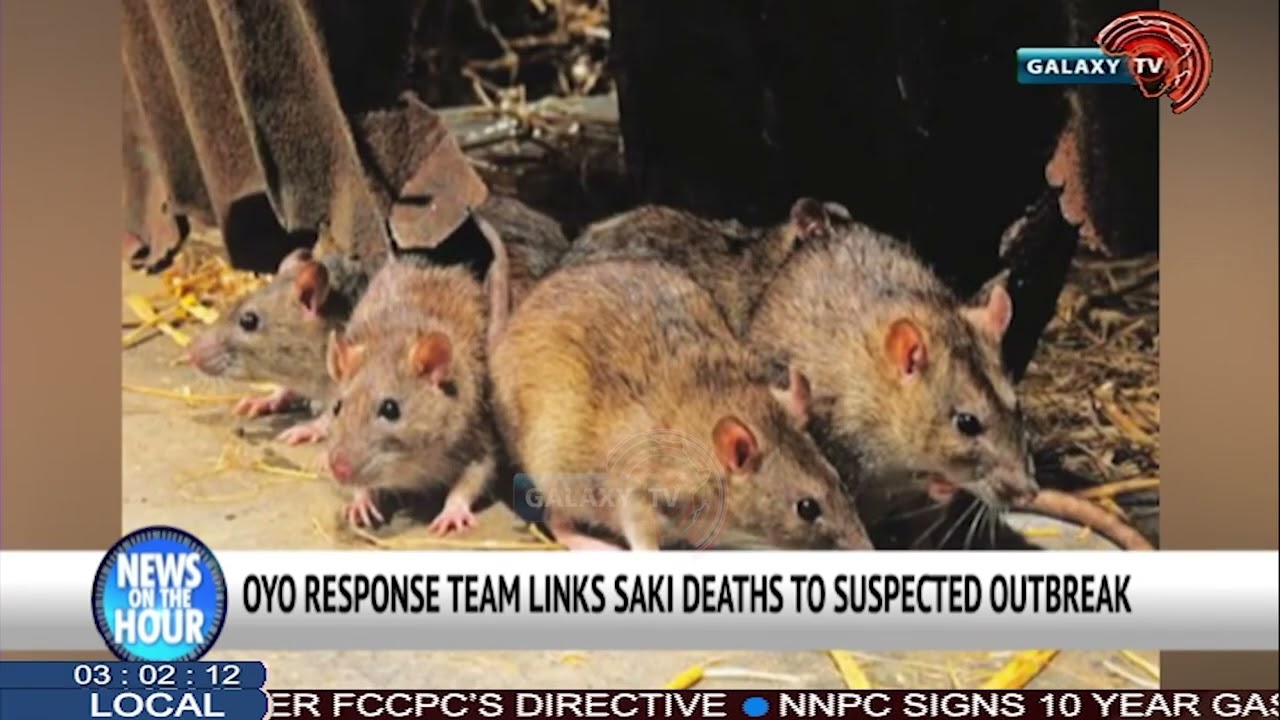 OYO RESPONSE TEAM LINKS SAKI DEATH TO SUSPECTED OUTBREAK