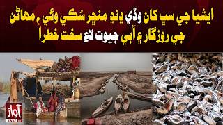 Asia’s Largest Lake Manchar Dries Up, Threatening Fishermen’s Livelihood and Aquatic Life | Awaz Tv