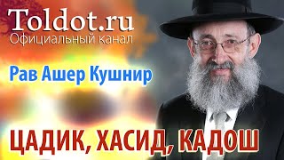 видео: Рав Ашер Кушнир. Цадик, хасид, кадош. Месилат Йешарим 75 картинка: Рав Ашер Кушнир. Цадик, хасид, кадош. Месилат Йешарим 75