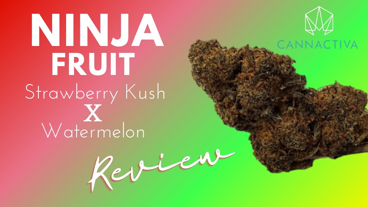 NINJA FRUIT de CANNACTIVA - Flor Cáñamo Review - Green Station CBD