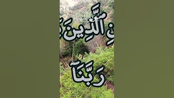 أيات من سورة النساء #المصحف #قرآن #اكسبلور #nature