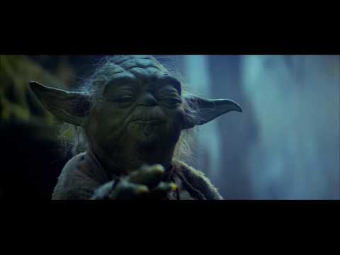 Βίντεο: Meow The Force Be With You: Γνωρίστε τη γάτα Shelter που μοιάζει με Yoda