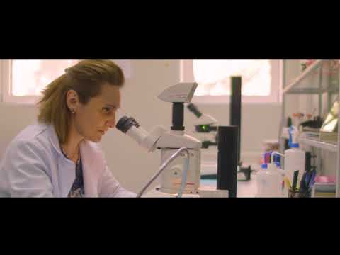 რა უნდა ვიცოდეთ ფიტოსანიტარიული სერტიფიკატის შესახებ