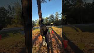 Delta Elemetary PTO Haunted Trail Bay Minette, AL #it #pennywise #gulfcoast