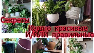 Какие у меня кашпо и горшки/для интерьера или для удобства растений? керамика или пластик?