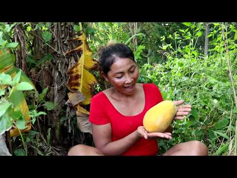 Video: Peces Tropicales Con Miel Y Papaya