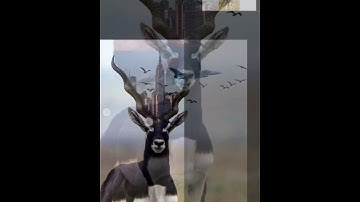 Nature overpowered 🔥 #picsart #photoshop  #anime #lightroom #photography #edit #indonesia #nature