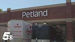 New Arkansas bill prevents cities from banning retail sale of pets