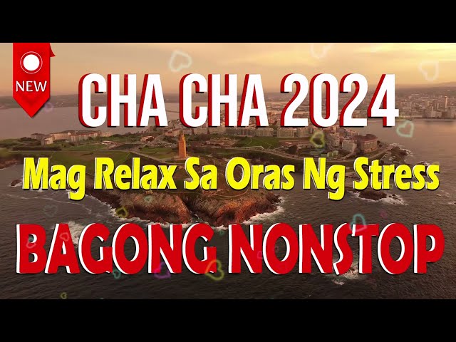 Best Reggae Cha Cha Mix 🦎  Nonstop Cha Cha Medley 🦎 New Best Reggae Cha Cha Disco Medley 2024 class=