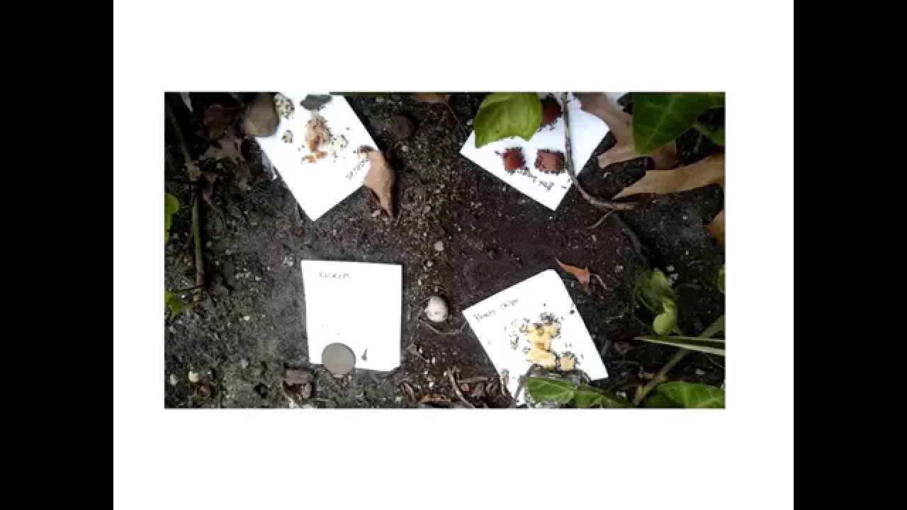 Amy Savage | From Broadway Avenue to Central Park