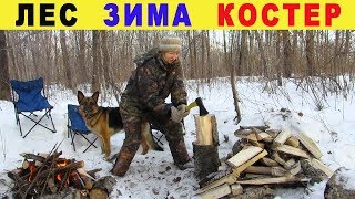 ЛЕС ЗИМА КОСТЕР FOREST WINTER Bonfire in the forest