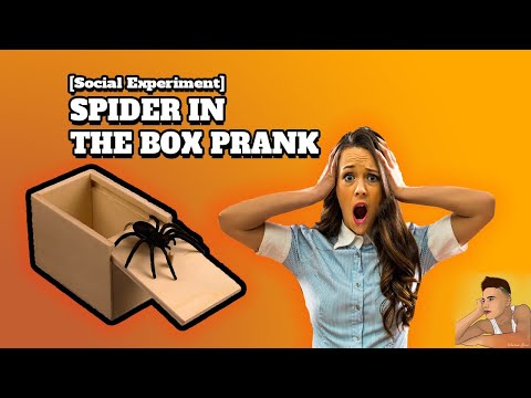 spider-in-the-box-prank-*pobegli*