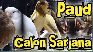 Download Lagu Kenali Kenari Paud Calon Seniman Gantangan MP3