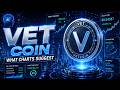 ⚠️ VET Price Action Analysis | Latest Trends I