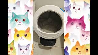 Let's deep clean the Litter Robot 4