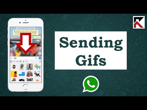 WhatsApp iPhone वर GIF कसे पाठवायचे
