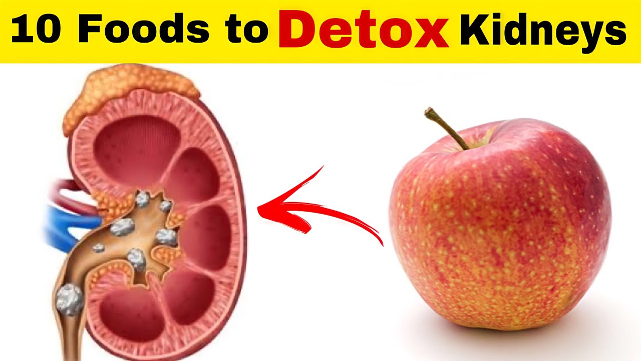 Top 10 Foods to Detox Your Kidneys - YouTube