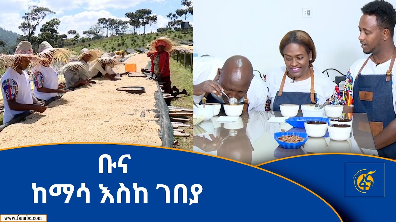 ቡና ከማሳ እስከ ገበያ