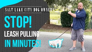 Leash Training for Utah Dog Owners by Ty The Dog Guy 593 views 4 years ago 8 minutes, 16 seconds