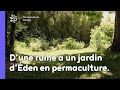 Dune ruine  un jardin dden en permaculture 