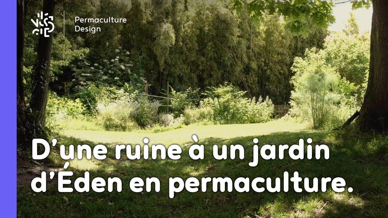 D’une ruine à un jardin d’éden en permaculture !