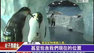 1030702海生館暑期2000