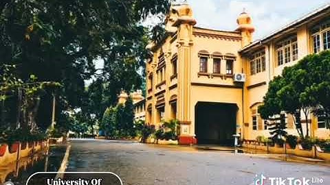 38th General Convocation 2024 University of Jaffna 👨‍🎓👩‍🎓