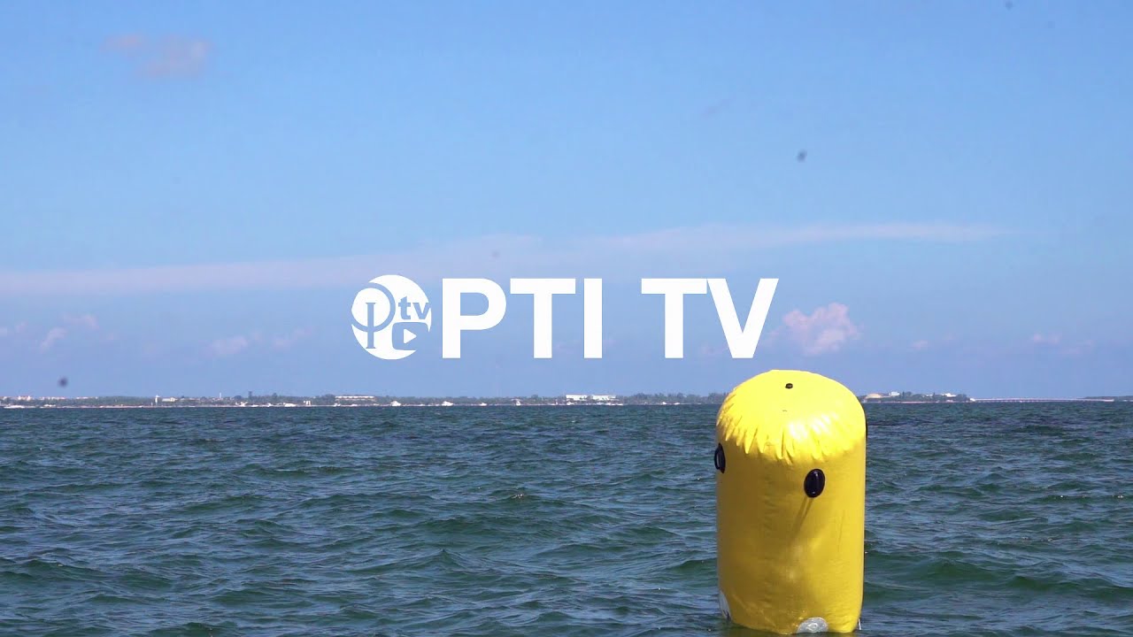 It Wasn’t All Bad: A Look Back At Optimist Sailing In 2020
