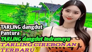 TARLING Cirebonan terbaru koplo empuk TARLING #music