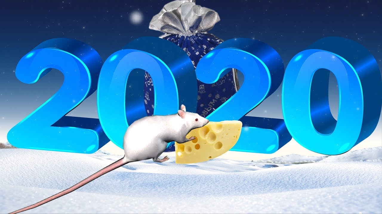 Видео Поздравление 2021 Бесплатно